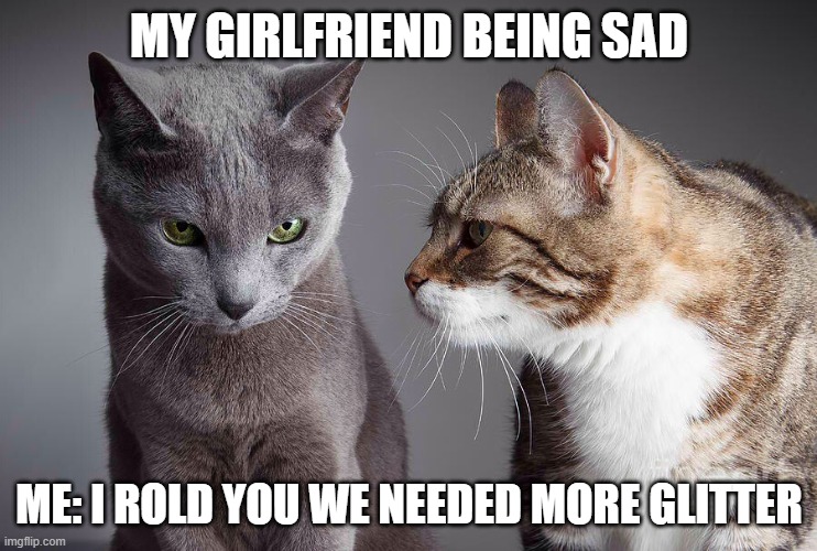 two cats | MY GIRLFRIEND BEING SAD; ME: I ROLD YOU WE NEEDED MORE GLITTER | image tagged in two cats | made w/ Imgflip meme maker