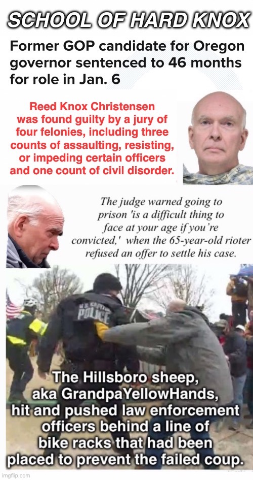 Reed Did Not Heed Need To Plead | image tagged in domestic terrorist,assault,caught yellow handed,loser lost,tuff senior when in a crowd,treason | made w/ Imgflip meme maker