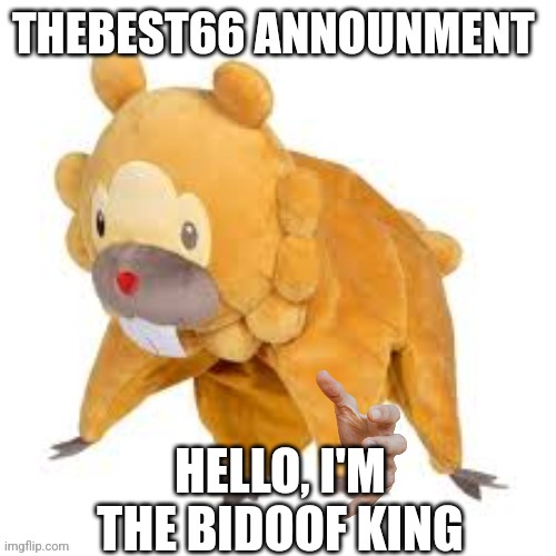 Please don't use | HELLO, I'M THE BIDOOF KING | image tagged in please don't use | made w/ Imgflip meme maker