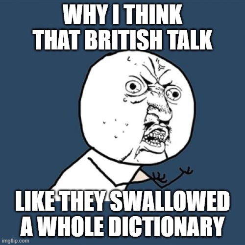 STEREOTYPE BRRRRRRRRRRRRRR | WHY I THINK THAT BRITISH TALK; LIKE THEY SWALLOWED A WHOLE DICTIONARY | image tagged in memes,y u no,stereotypes | made w/ Imgflip meme maker