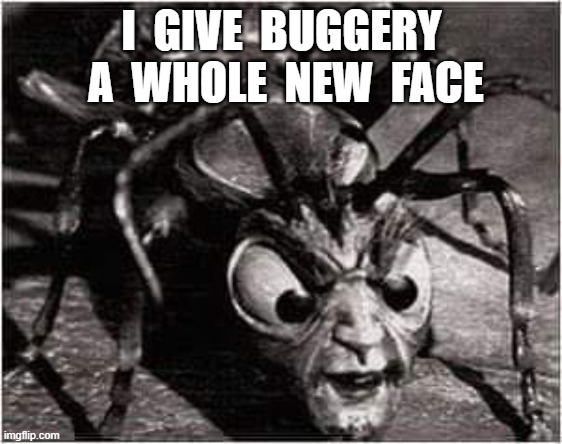 Buggery | I  GIVE  BUGGERY  A  WHOLE  NEW  FACE | image tagged in insects | made w/ Imgflip meme maker