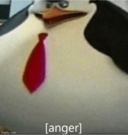 [anger] penguin | image tagged in anger penguin | made w/ Imgflip meme maker
