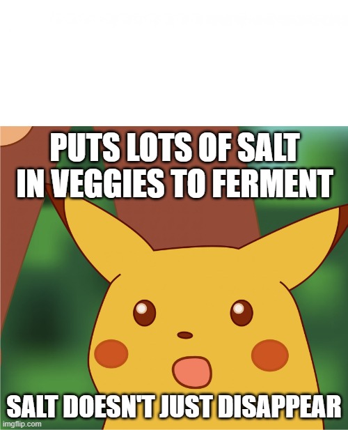 Surprised Pikachu (High Quality) | PUTS LOTS OF SALT IN VEGGIES TO FERMENT; SALT DOESN'T JUST DISAPPEAR | image tagged in surprised pikachu high quality | made w/ Imgflip meme maker