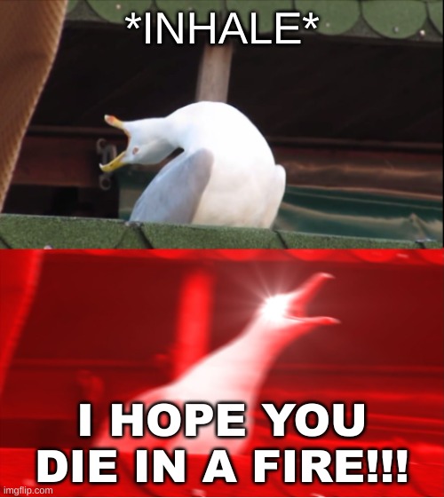 Seagull sings FNaF song | *INHALE*; I HOPE YOU DIE IN A FIRE!!! | image tagged in inhaling seagull | made w/ Imgflip meme maker