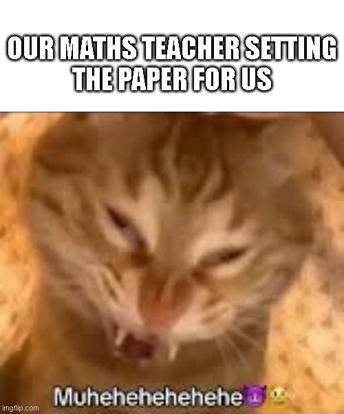 The real devil | OUR MATHS TEACHER SETTING THE PAPER FOR US | image tagged in memes,funny memes,cats,cat memes,funny cat memes,math | made w/ Imgflip meme maker