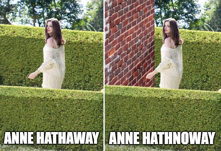Original | ANNE HATHNOWAY; ANNE HATHAWAY | image tagged in anne hathaway,celebrity puns | made w/ Imgflip meme maker
