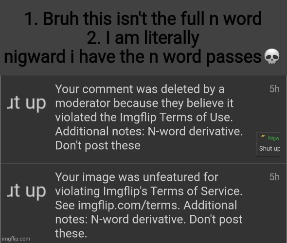 Bruh? | 1. Bruh this isn't the full n word
2. I am literally nigward i have the n word passes💀 | image tagged in moderation system | made w/ Imgflip meme maker