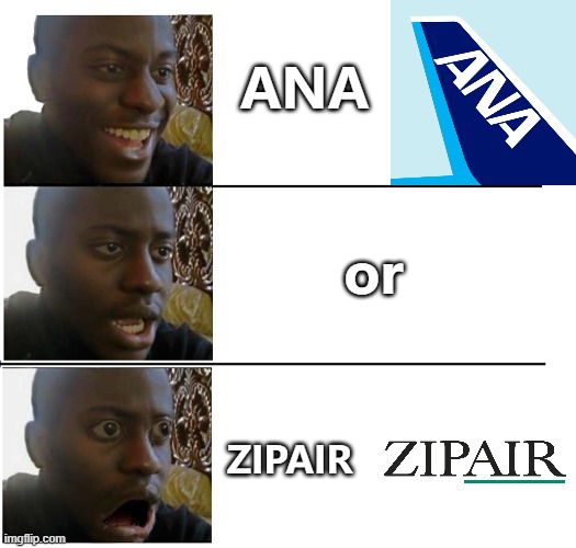 ANA or ZIPAIR? We should know where we choose a Japanese Airline. | ANA; or; ZIPAIR | image tagged in disappointed black guy ver 2 | made w/ Imgflip meme maker