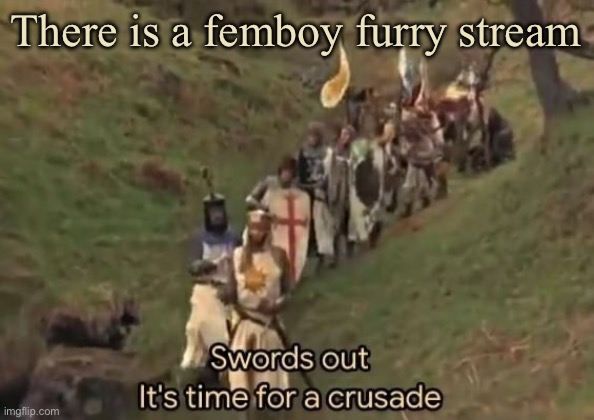 Let’s have a crusade against this degenerate shit | There is a femboy furry stream | image tagged in swords out it's time for a crusade | made w/ Imgflip meme maker
