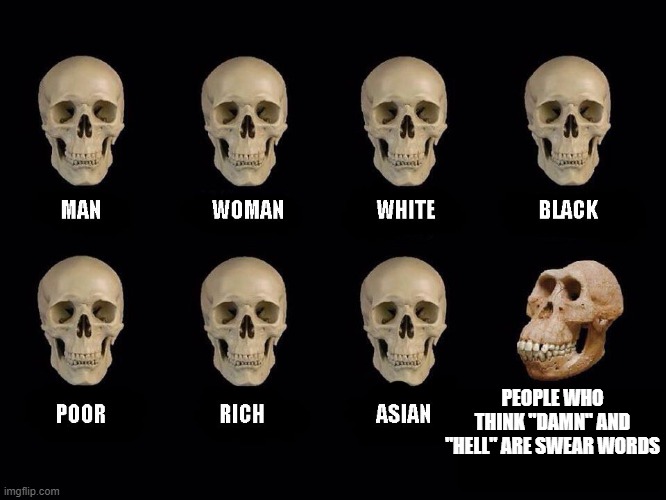 empty skulls of truth | PEOPLE WHO THINK "DAMN" AND "HELL" ARE SWEAR WORDS | image tagged in empty skulls of truth,damn,hell,swearing,swear word,cussing | made w/ Imgflip meme maker