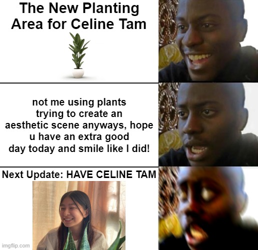 Celine Tam's New Planting Area | The New Planting Area for Celine Tam; not me using plants trying to create an aesthetic scene anyways, hope u have an extra good day today and smile like I did! Next Update: HAVE CELINE TAM | image tagged in disappointed guy 3 panels | made w/ Imgflip meme maker