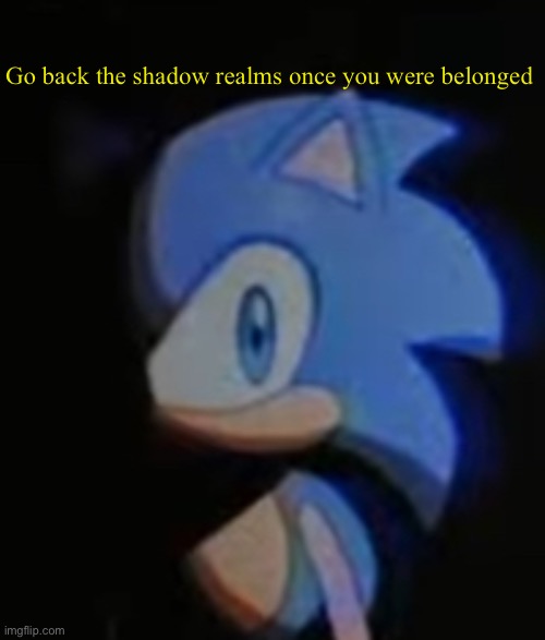 Sonic Side Eye | Go back the shadow realms once you were belonged | image tagged in sonic side eye | made w/ Imgflip meme maker