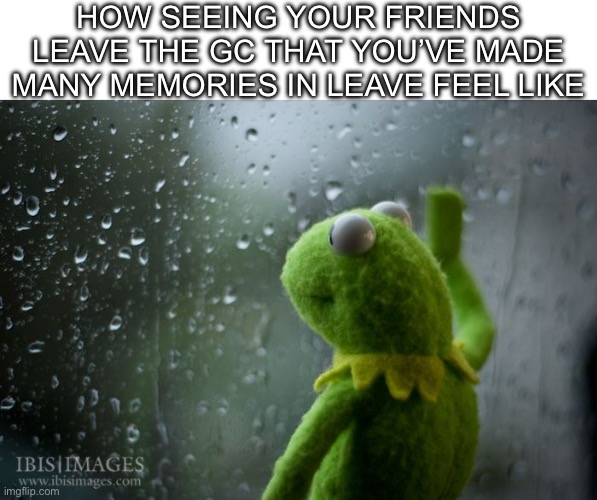 It’s sad to see them leave tbh | HOW SEEING YOUR FRIENDS LEAVE THE GC THAT YOU’VE MADE MANY MEMORIES IN LEAVE FEEL LIKE | image tagged in kermit window | made w/ Imgflip meme maker