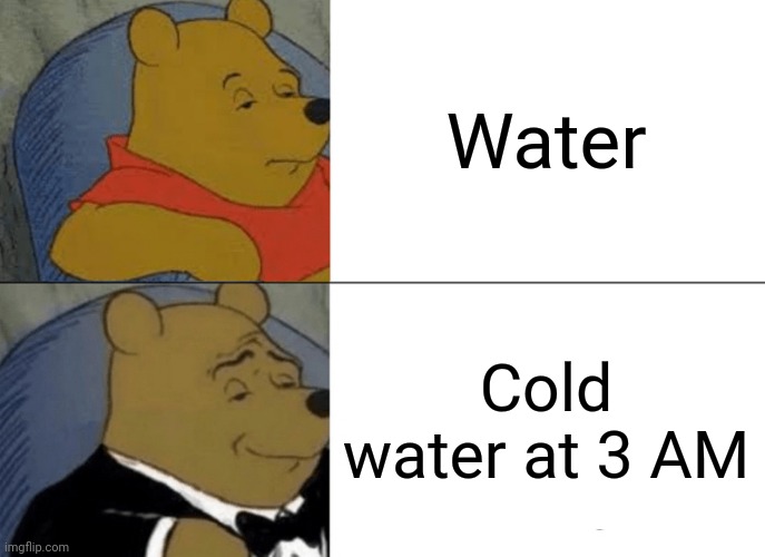 Tuxedo Winnie The Pooh | Water; Cold water at 3 AM | image tagged in memes,tuxedo winnie the pooh | made w/ Imgflip meme maker