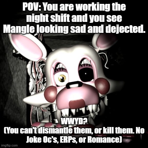 No joke Oc's, ERPs, or Romance please! No you may not kill them. | POV: You are working the night shift and you see Mangle looking sad and dejected. WWYD?
(You can't dismantle them, or kill them. No Joke Oc's, ERPs, or Romance) | image tagged in mangle | made w/ Imgflip meme maker