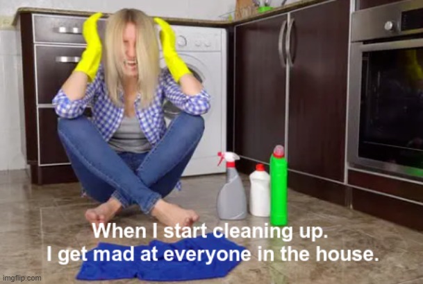 Adult Life | image tagged in cleaning,adulting,real life,sarcasm,family life | made w/ Imgflip meme maker