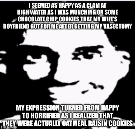 Based sigma male | I SEEMED AS HAPPY AS A CLAM AT HIGH WATER AS I WAS MUNCHING ON SOME CHOCOLATE CHIP COOKIES THAT MY WIFE’S BOYFRIEND GOT FOR ME AFTER GETTING MY VASECTOMY; MY EXPRESSION TURNED FROM HAPPY TO HORRIFIED AS I REALIZED THAT THEY WERE ACTUALLY OATMEAL RAISIN COOKIES | image tagged in based sigma male | made w/ Imgflip meme maker