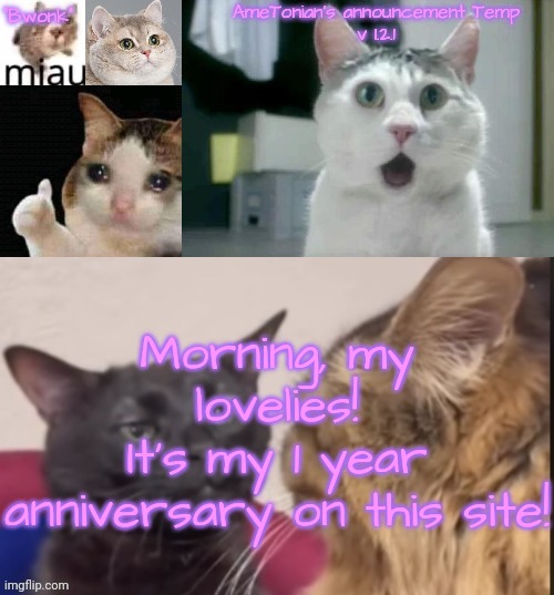 AmeTonian's announcement Temp v 1.2.1 | Morning, my lovelies!
It's my 1 year anniversary on this site! | image tagged in ametonian's announcement temp v 1 2 1 | made w/ Imgflip meme maker