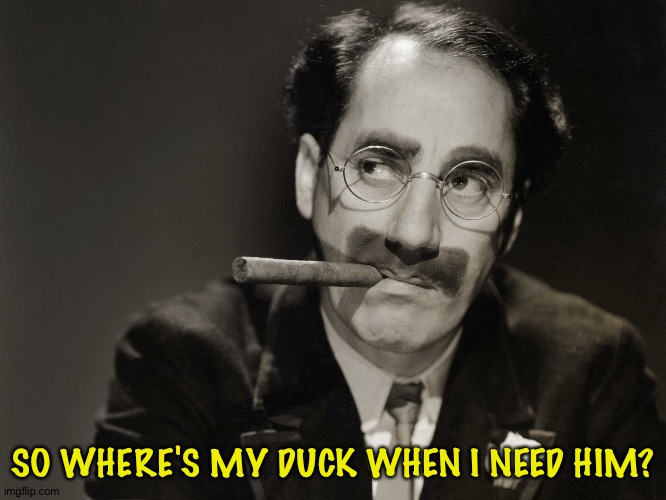 Thoughtful Groucho | SO WHERE'S MY DUCK WHEN I NEED HIM? | image tagged in thoughtful groucho | made w/ Imgflip meme maker