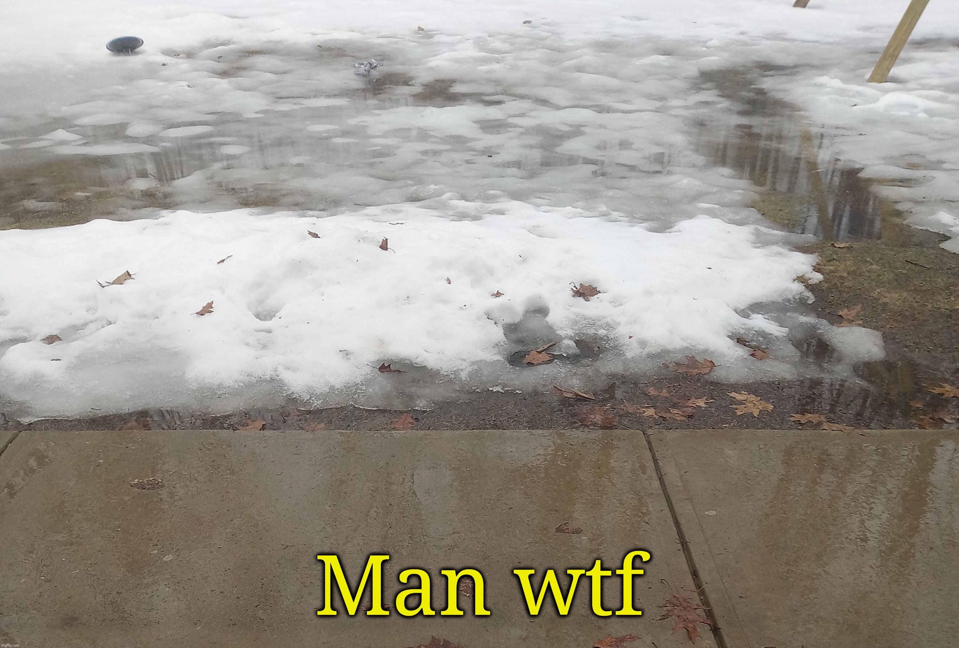 Man wtf | made w/ Imgflip meme maker