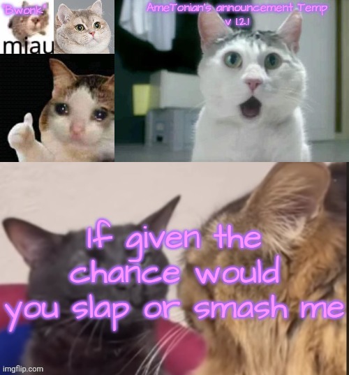 AmeTonian's announcement Temp v 1.2.1 | If given the chance would you slap or smash me | image tagged in ametonian's announcement temp v 1 2 1 | made w/ Imgflip meme maker