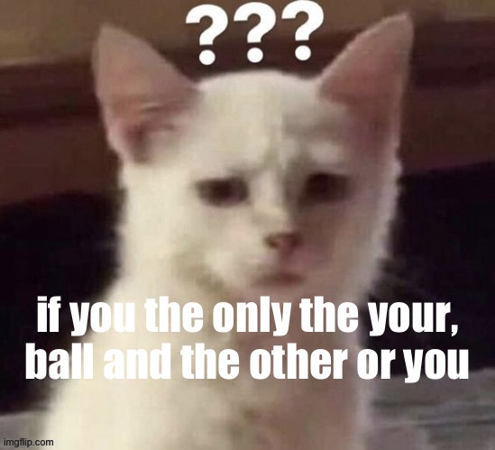 No clue so don’t ask | if you the only the your,  ball and the other or you | made w/ Imgflip meme maker