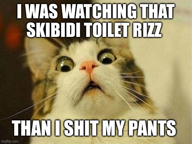 Scared Cat Meme | I WAS WATCHING THAT SKIBIDI TOILET RIZZ; THAN I SHIT MY PANTS | image tagged in memes,scared cat | made w/ Imgflip meme maker