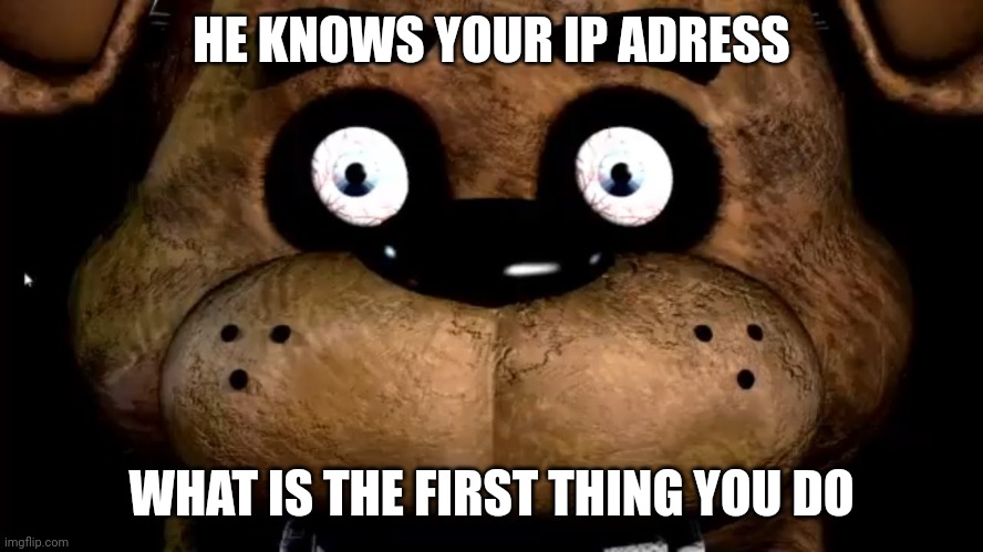 What is the first thing you do | HE KNOWS YOUR IP ADRESS; WHAT IS THE FIRST THING YOU DO | image tagged in fnaf,memes | made w/ Imgflip meme maker