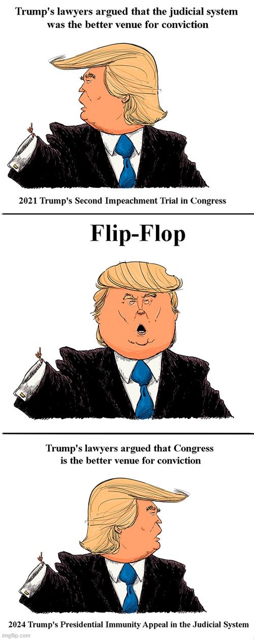 Don't you hate flip-floppers? Trump's lawyers can't decide if Congress or the Judicial System should convict a criminal POS | image tagged in donald trump,trump impeachment,immunity,flip flops,lawyers | made w/ Imgflip meme maker