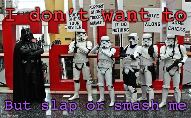 Stormtrooper protest | I don’t want to; But slap or smash me | image tagged in stormtrooper protest | made w/ Imgflip meme maker