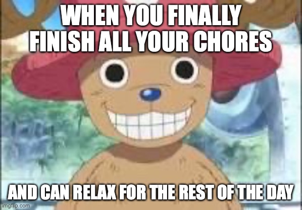 Chopper smiling | WHEN YOU FINALLY FINISH ALL YOUR CHORES; AND CAN RELAX FOR THE REST OF THE DAY | image tagged in chopper smiling | made w/ Imgflip meme maker