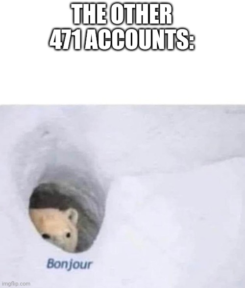 Bonjour | THE OTHER 471 ACCOUNTS: | image tagged in bonjour | made w/ Imgflip meme maker
