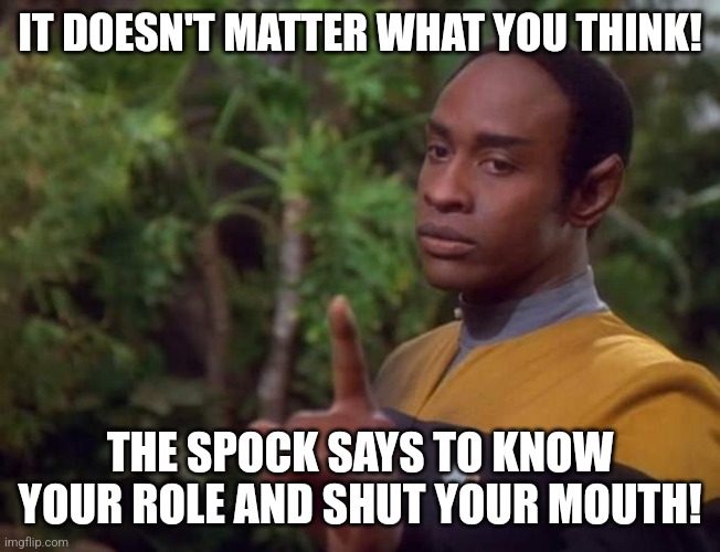 Wrestling with the logic | IT DOESN'T MATTER WHAT YOU THINK! THE SPOCK SAYS TO KNOW YOUR ROLE AND SHUT YOUR MOUTH! | image tagged in star trek voyager | made w/ Imgflip meme maker