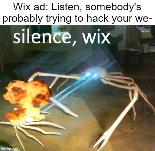Silence Crab | Wix ad: Listen, somebody's probably trying to hack your we-; wix | image tagged in silence crab,advertising,advertisement,adverts,youtube,youtube ads | made w/ Imgflip meme maker