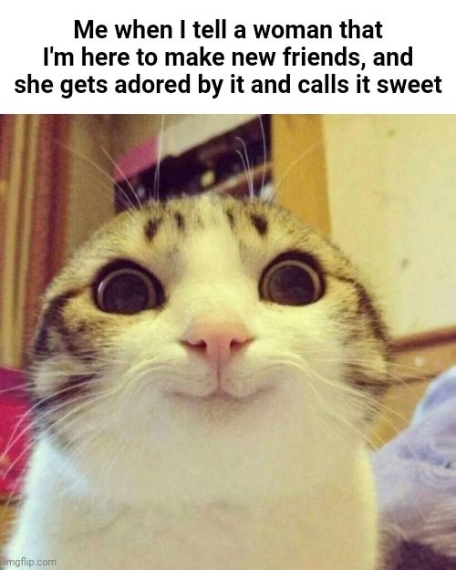 It actually happened when I was in a cool Roblox game. It was done by accident, but I don't regret it | Me when I tell a woman that I'm here to make new friends, and she gets adored by it and calls it sweet | image tagged in memes,smiling cat,funny,damn | made w/ Imgflip meme maker