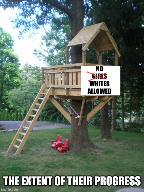 Tree House | NO
GIRLS
WHITES
ALLOWED THE EXTENT OF THEIR PROGRESS | image tagged in tree house | made w/ Imgflip meme maker