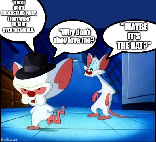 Maybe it's the hat? | "I JUST DON'T UNDERSTAND PINKY, I JUST WANT TO TAKE OVER THE WORLD. " MAYBE IT'S THE HAT?"; "Why don't they love me? | image tagged in pinky and the brain monday,nwo,democrats,traitors | made w/ Imgflip meme maker