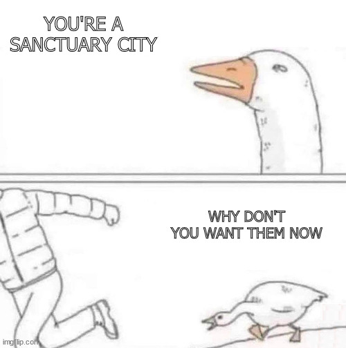 Scanctuary City | YOU'RE A SANCTUARY CITY; WHY DON'T YOU WANT THEM NOW | image tagged in goose chase | made w/ Imgflip meme maker