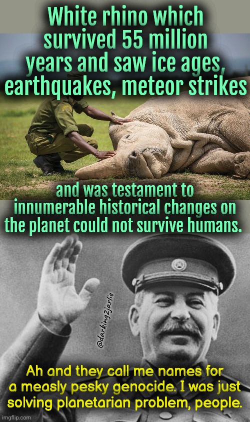 Stalin: the saviour of planet earth #RiPWhiteRhino #StalinDidntKillEnoughPeople | White rhino which survived 55 million years and saw ice ages, earthquakes, meteor strikes; and was testament to innumerable historical changes on the planet could not survive humans. @darking2jarlie; Ah and they call me names for a measly pesky genocide. I was just solving planetarian problem, people. | image tagged in animals,africa,stalin,humans,genocide,dark humor | made w/ Imgflip meme maker