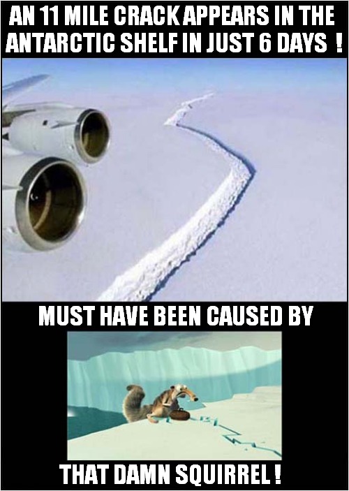 Global Warming Explained ... | AN 11 MILE CRACK APPEARS IN THE 
ANTARCTIC SHELF IN JUST 6 DAYS  ! MUST HAVE BEEN CAUSED BY; THAT DAMN SQUIRREL ! | image tagged in global warming,antarctic,crack,ice age,squirrel | made w/ Imgflip meme maker