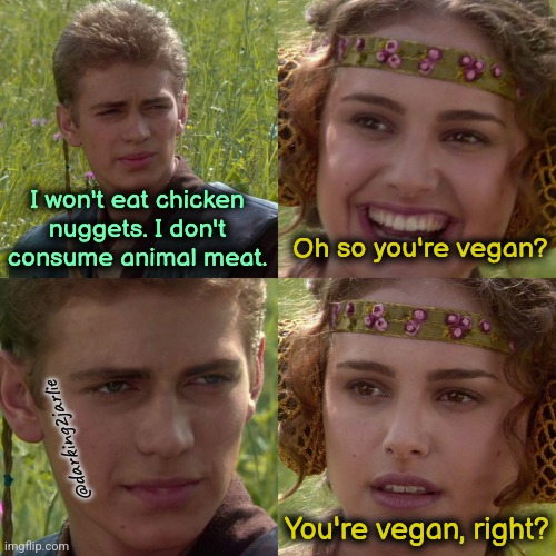 Hannibal Lecter upvoted this meme | I won't eat chicken nuggets. I don't consume animal meat. Oh so you're vegan? @darking2jarlie; You're vegan, right? | image tagged in anakin padme 4 panel,cannibalism,dark humor,vegan | made w/ Imgflip meme maker