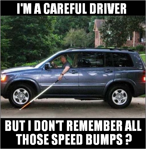 Being Blind Doesn't Stop You Driving ! | I'M A CAREFUL DRIVER; BUT I DON'T REMEMBER ALL 
THOSE SPEED BUMPS ? | image tagged in blind,driver,speed bumps | made w/ Imgflip meme maker