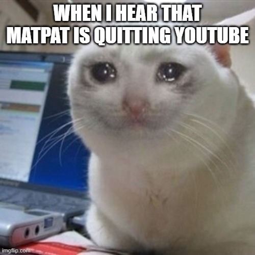 noooo matpat dont leave us | WHEN I HEAR THAT MATPAT IS QUITTING YOUTUBE | image tagged in crying cat,matpat | made w/ Imgflip meme maker