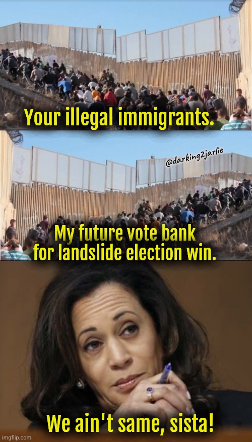 Change your perception racist bigots! | Your illegal immigrants. @darking2jarlie; My future vote bank for landslide election win. We ain't same, sista! | image tagged in illegal immigrants,kamala harris,liberalism,elections,democrats,america | made w/ Imgflip meme maker