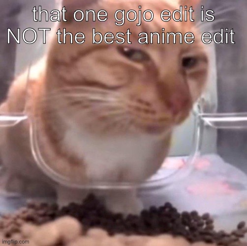 girl i’m sorry but i’ve seen tiktok edits with 40 likes that are on the same level as that one | that one gojo edit is NOT the best anime edit | image tagged in side eye | made w/ Imgflip meme maker