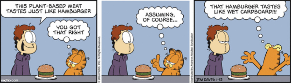 Daily Garfield Comic | made w/ Imgflip meme maker