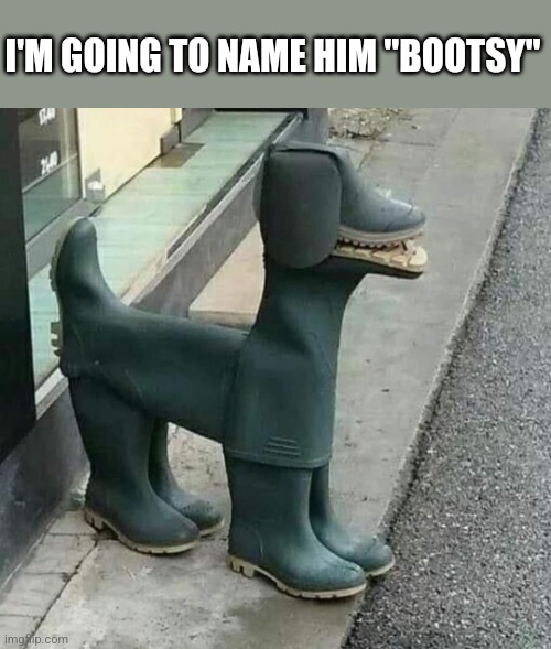 His only command is heel. | I'M GOING TO NAME HIM "BOOTSY" | image tagged in boot,dog | made w/ Imgflip meme maker