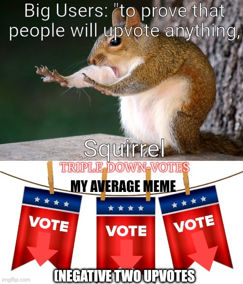 No, but like why though ?‍? | Big Users: "to prove that people will upvote anything, Squirrel; MY AVERAGE MEME; (NEGATIVE TWO UPVOTES | image tagged in whoa now squirrel,triple down-votes | made w/ Imgflip meme maker