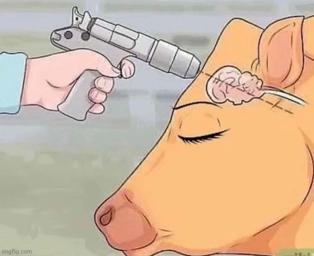 I wanna be a cow | made w/ Imgflip meme maker