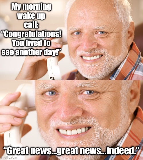Happy Harold Lives Another Day | My morning wake up call: “Congratulations! You lived to see another day!”; “Great news…great news…indeed.” | image tagged in hide the pain harold phone call,great,news,wake up,phone call | made w/ Imgflip meme maker